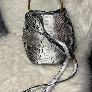 Snake Skin Purse